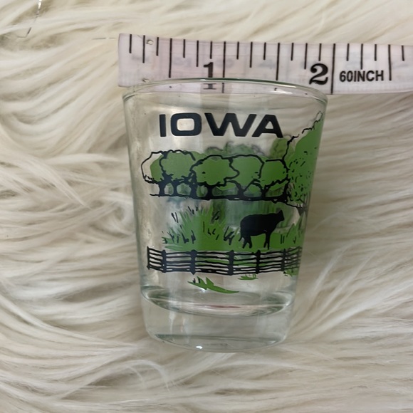 Iowa shot glass bar alcohol glass collection shooter cocktail beer - Picture 8 of 11